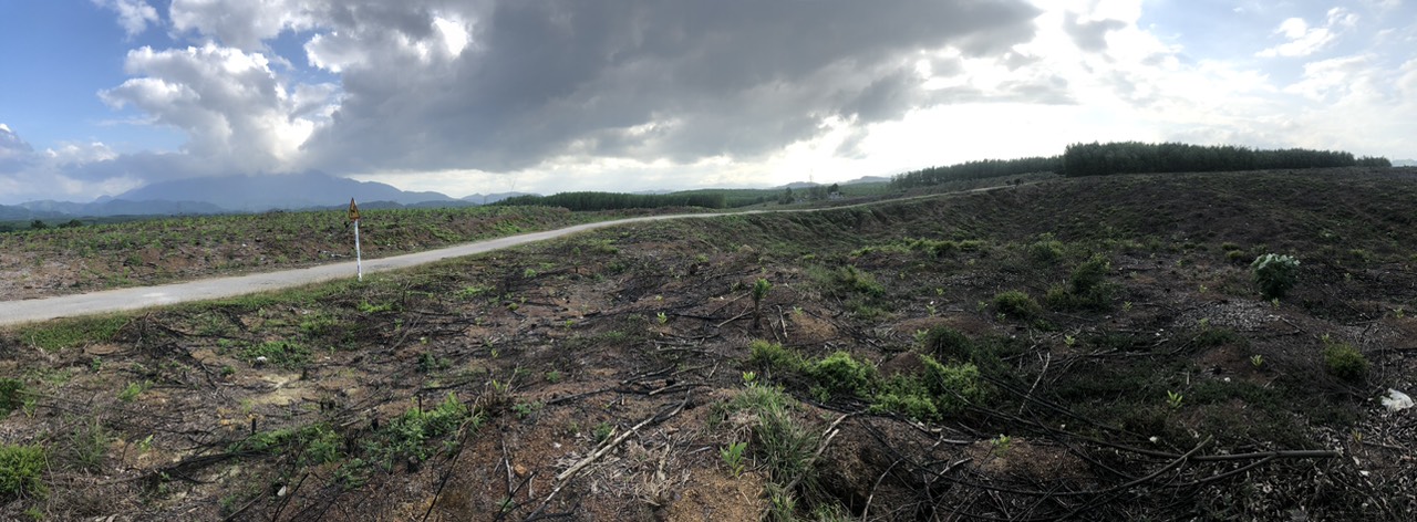 HEART Development Progress