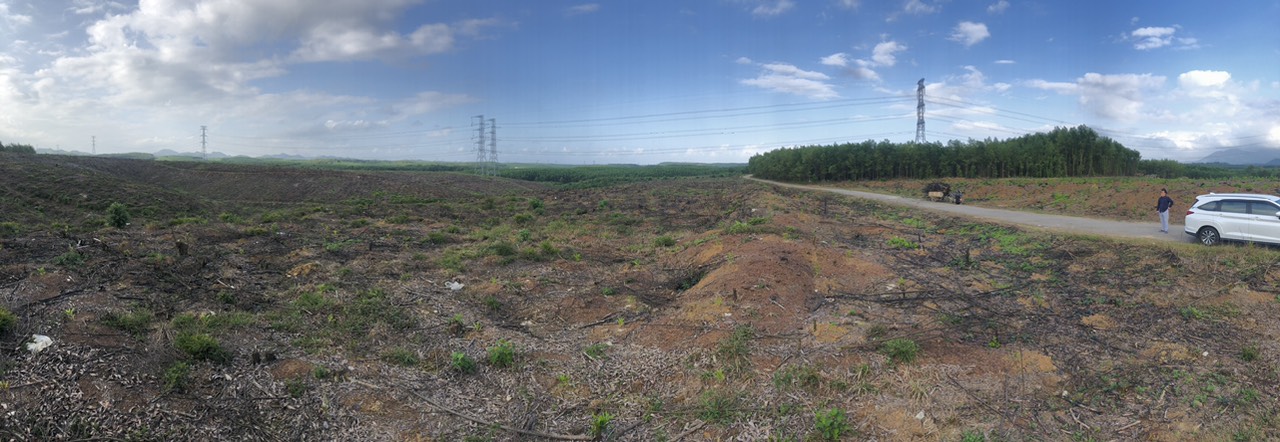 Current Status Overview